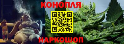 спиды Гагарин
