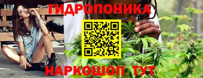 спиды Гагарин