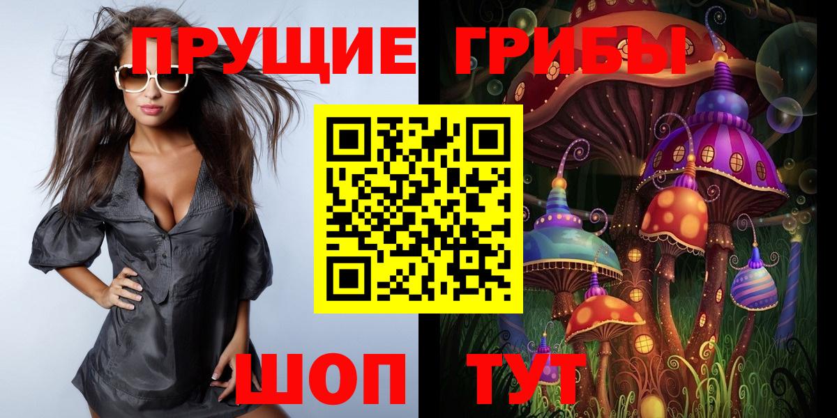 Псилоцибиновые грибы GOLDEN TEACHER Касимов