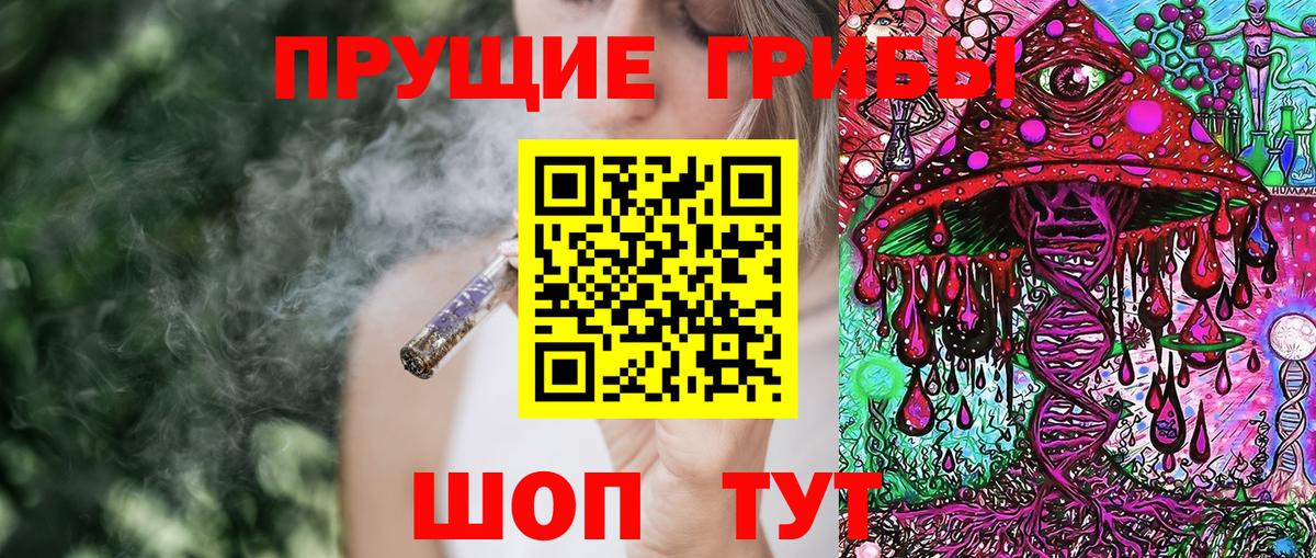 Галлюциногенные грибы Psilocybine cubensis  Псилоцибиновые грибы мухоморы  Касимов  Вход с VPN 
